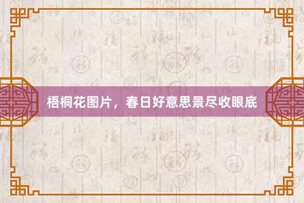 梧桐花图片，春日好意思景尽收眼底