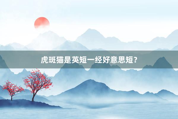 虎斑猫是英短一经好意思短？