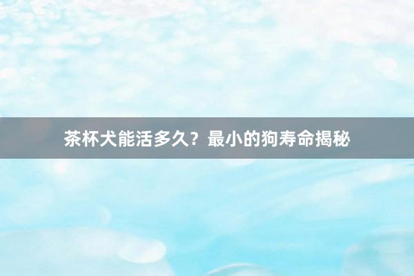 茶杯犬能活多久？最小的狗寿命揭秘
