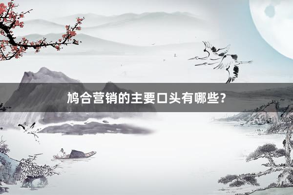 鸠合营销的主要口头有哪些？