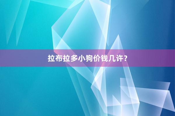 拉布拉多小狗价钱几许？